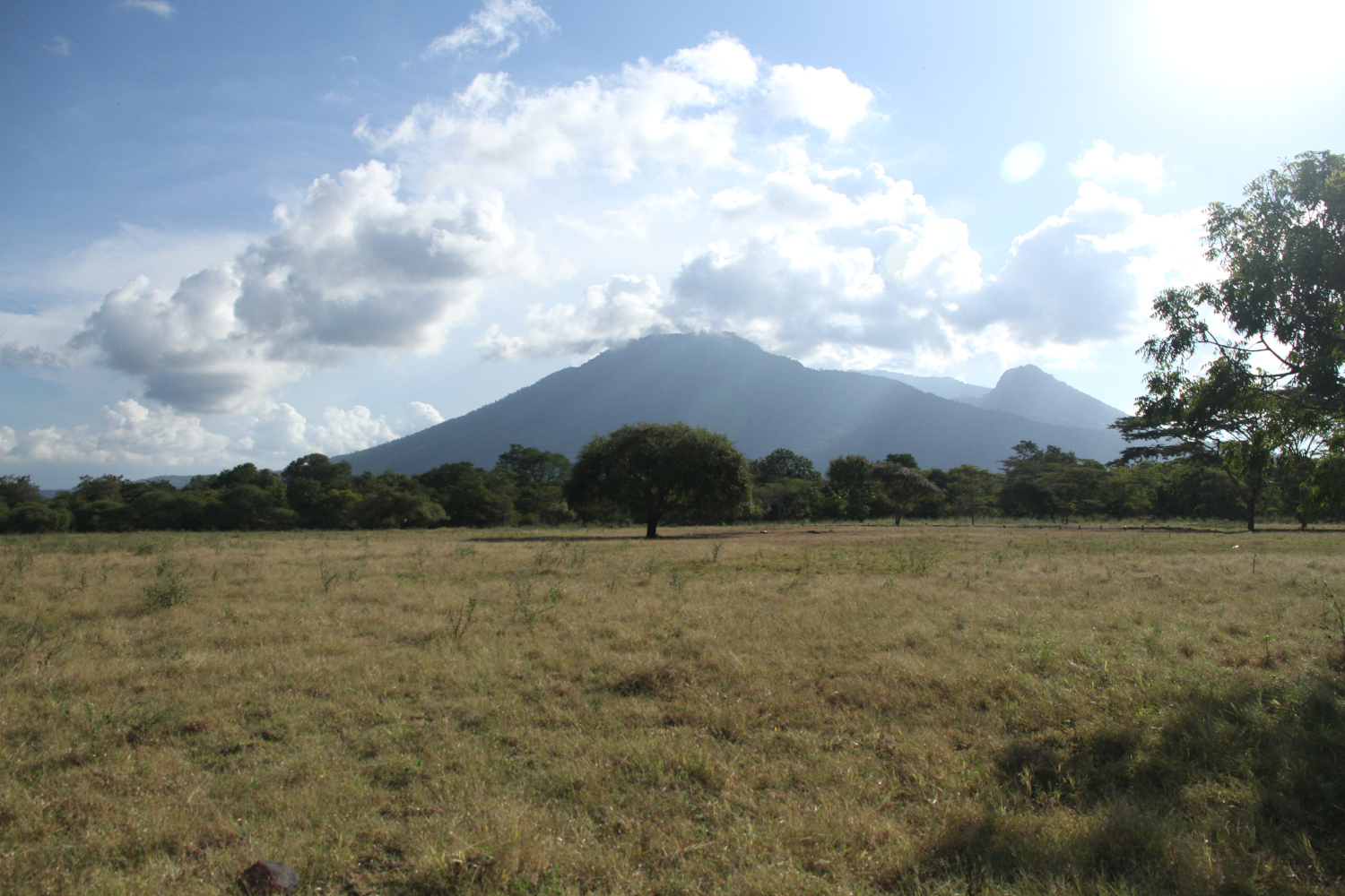 Bukit Baluran