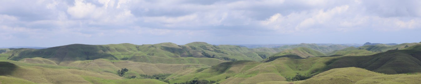 Savane de Sumba